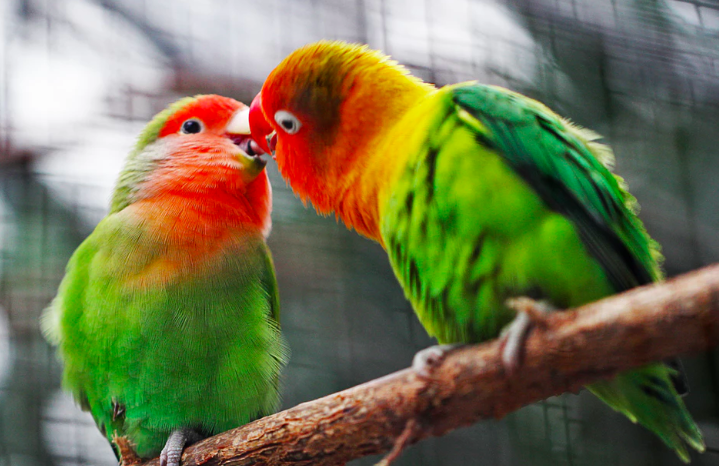 스크린샷 2019-09-02 오후 4.35.33