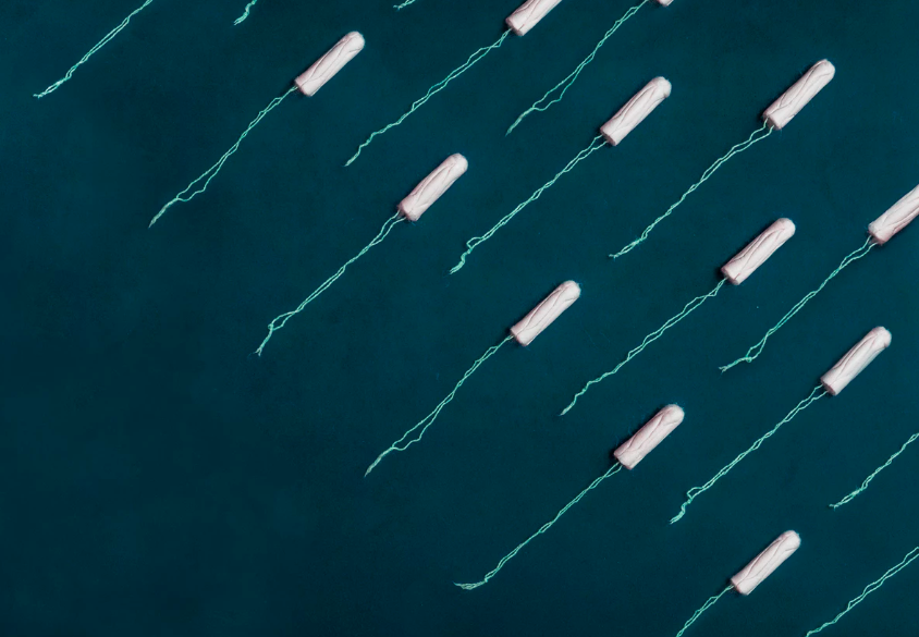 스크린샷 2019-09-03 오후 2.57.35