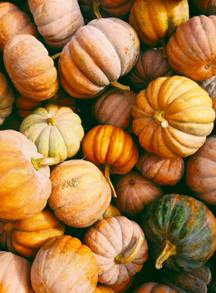 스크린샷 2019-09-10 오후 7.09.32