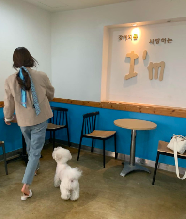 스크린샷 2019-09-17 오후 3.10.24