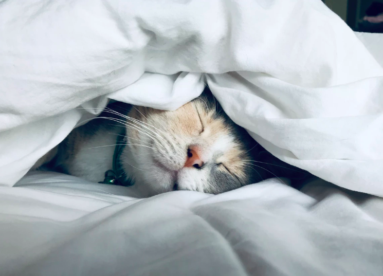 스크린샷 2019-09-18 오후 12.55.36