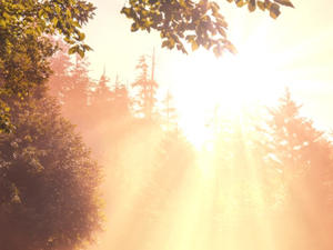 20151013093503672_MOHB38YD