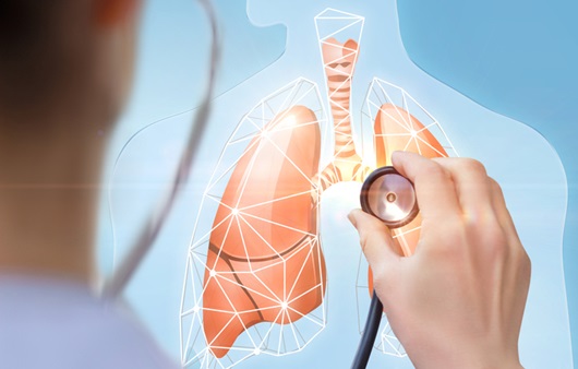 Doctor listens to the model of human lungs on blue background.