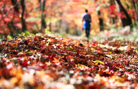 htm_20151006102648538902