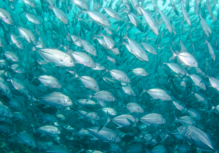 스크린샷 2019-10-10 오후 2.45.43