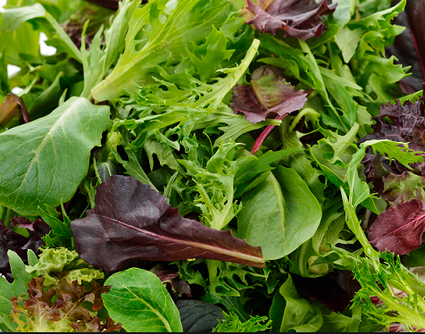 스크린샷 2019-10-15 오후 12.37.34