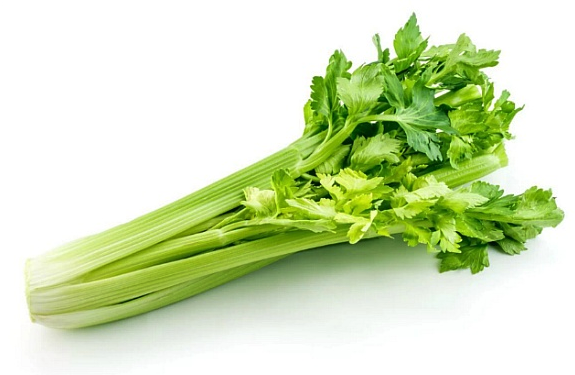 스크린샷 2019-10-23 오후 12.42.56