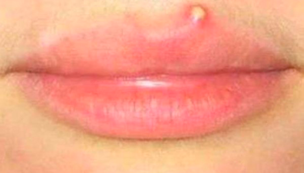 스크린샷 2019-10-24 오후 3.01.26