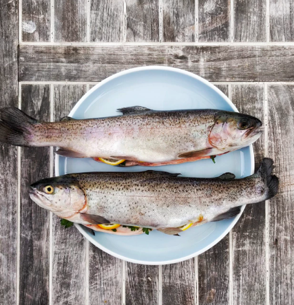 스크린샷 2019-10-30 오후 3.02.52