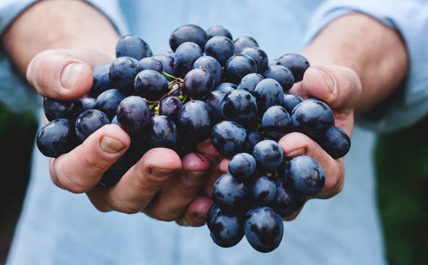 스크린샷 2019-10-30 오후 3.03.31