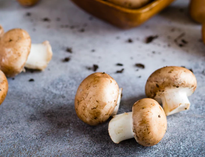 스크린샷 2019-10-30 오후 3.04.36