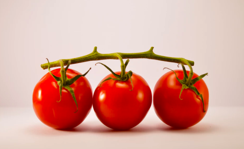 스크린샷 2019-10-30 오후 3.04.47