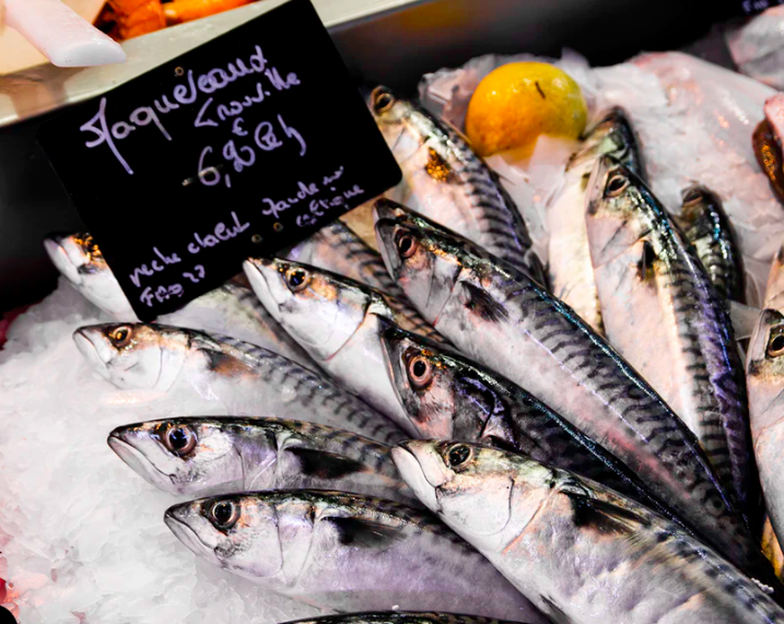 스크린샷 2019-10-31 오후 4.47.23