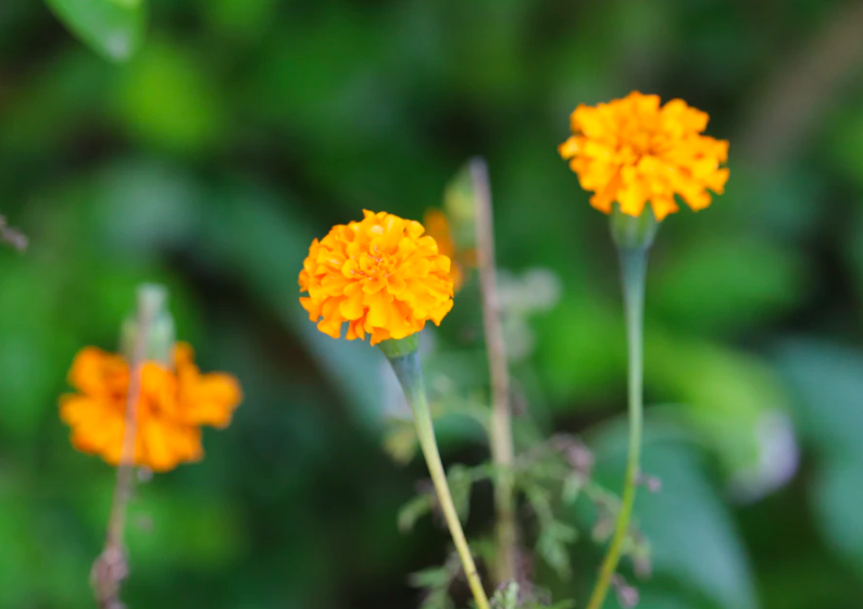 스크린샷 2019-10-31 오후 4.48.00