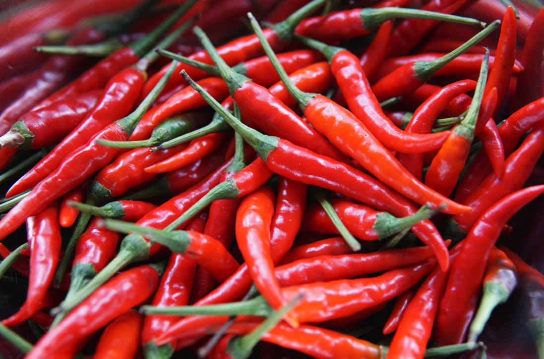 스크린샷 2020-02-13 오후 5.56.09