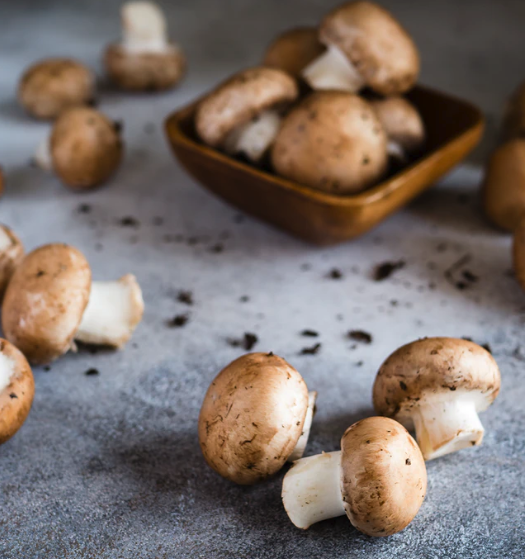 스크린샷 2020-02-13 오후 5.57.57