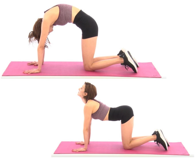 ally_2019-10-26_07-43-08_400691