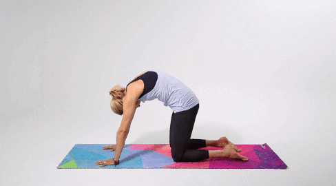 스크린샷 2019-11-06 오후 3.41.41