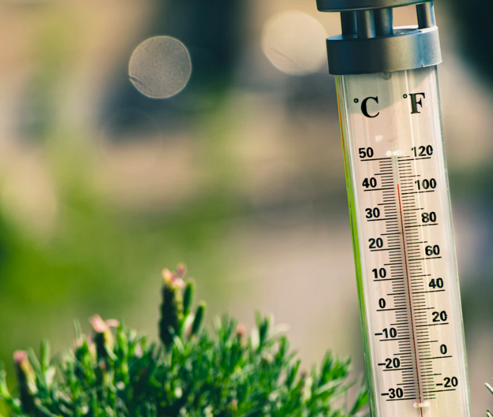 스크린샷 2019-11-07 오후 2.32.41