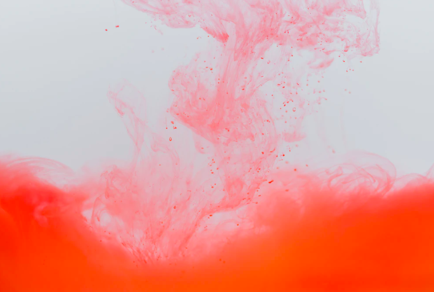 스크린샷 2019-11-07 오후 2.37.13