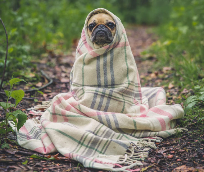 스크린샷 2019-11-07 오후 2.38.14