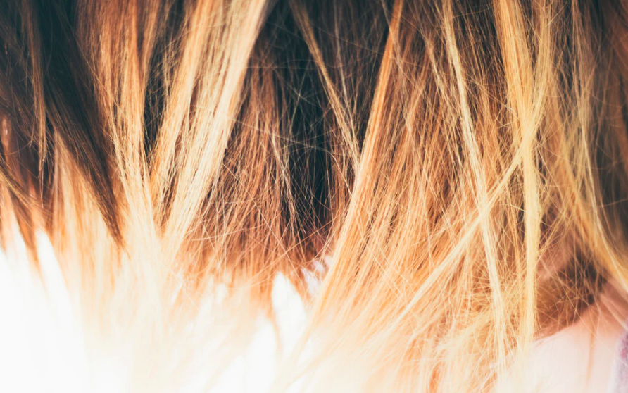 스크린샷 2019-11-11 오후 2.51.01