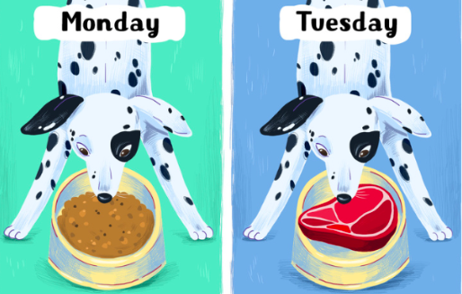 스크린샷 2019-11-14 오후 3.20.35