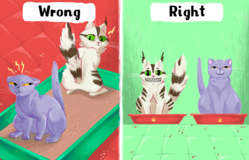 스크린샷 2019-11-14 오후 3.20.42