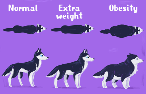 스크린샷 2019-11-14 오후 3.21.31