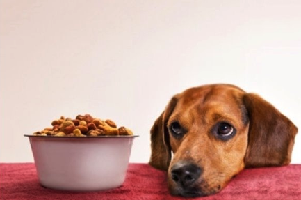 스크린샷 2019-11-14 오후 3.22.02