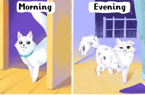 스크린샷 2019-11-14 오후 3.22.14