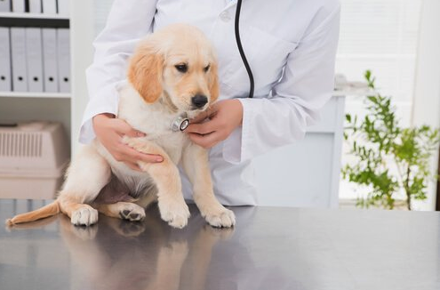 스크린샷 2019-11-14 오후 3.22.52