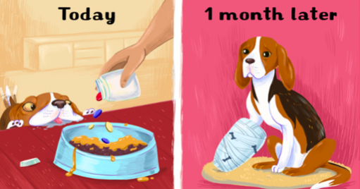 스크린샷 2019-11-14 오후 3.22.59