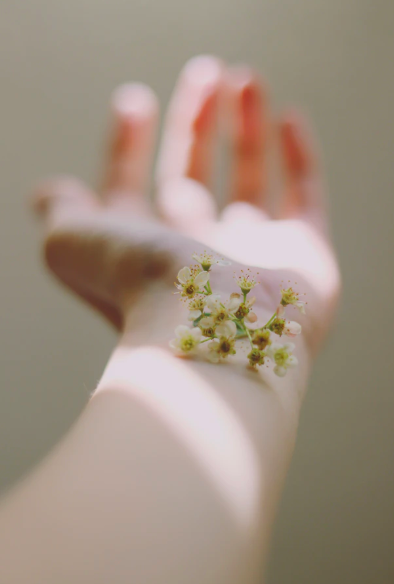 스크린샷 2019-11-15 오후 2.13.57