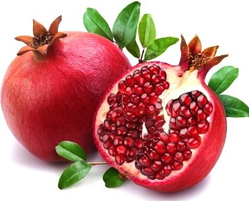 스크린샷 2019-11-19 오후 2.05.41