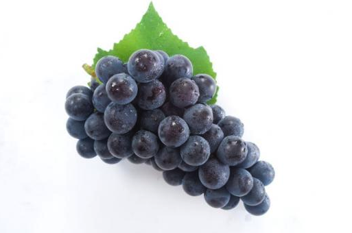 스크린샷 2019-11-19 오후 2.07.16