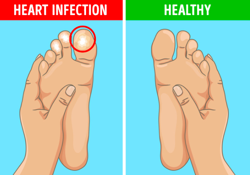 스크린샷 2019-11-26 오후 2.01.15