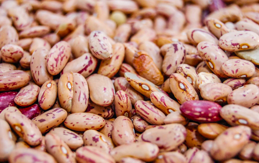 스크린샷 2019-11-26 오후 4.02.17