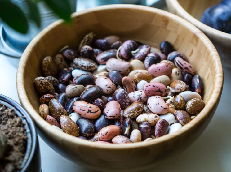 스크린샷 2019-11-28 오후 3.34.42