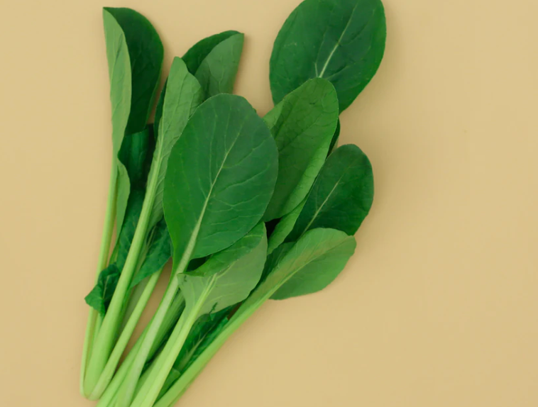 스크린샷 2019-11-28 오후 3.36.39