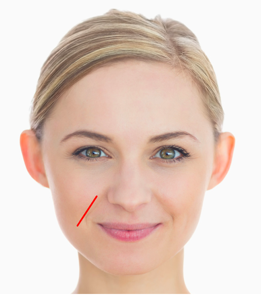 스크린샷 2019-11-29 오후 1.19.31