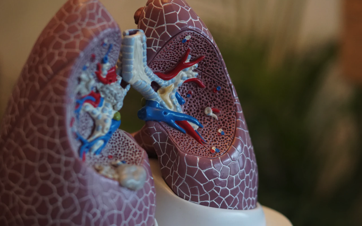 스크린샷 2020-02-13 오후 6.14.41