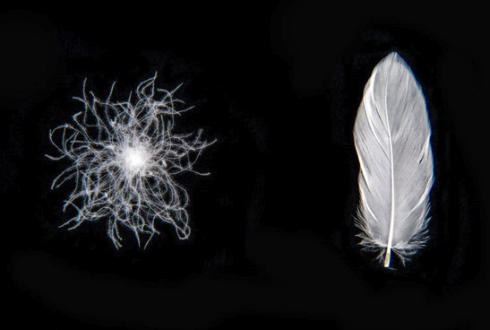 스크린샷 2019-12-02 오후 3.47.51