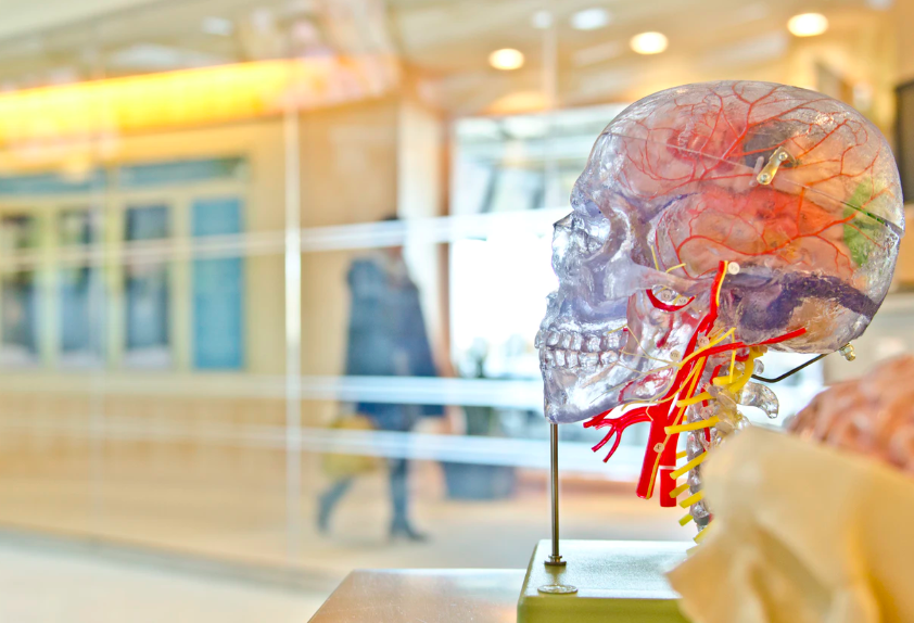 스크린샷 2019-12-06 오후 3.13.19