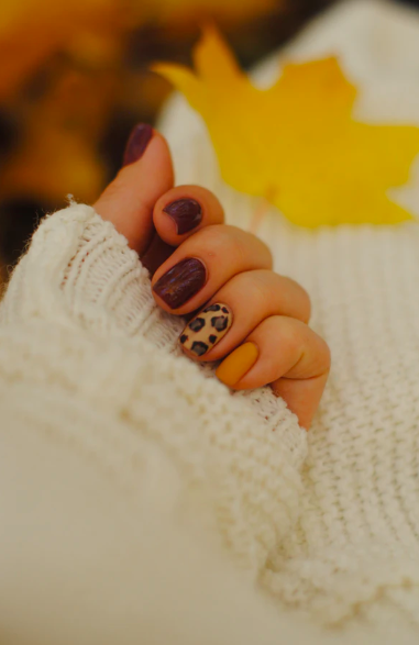 스크린샷 2019-12-09 오후 2.43.09