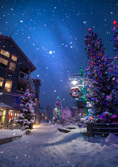 스크린샷 2019-12-16 오후 2.47.32