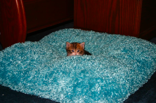 스크린샷 2019-12-17 오후 1.24.01