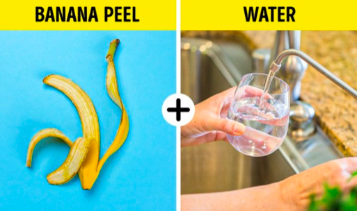 스크린샷 2019-12-19 오후 12.58.31