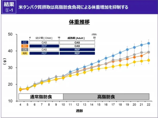 스크린샷 2019-12-30 오후 2.15.29