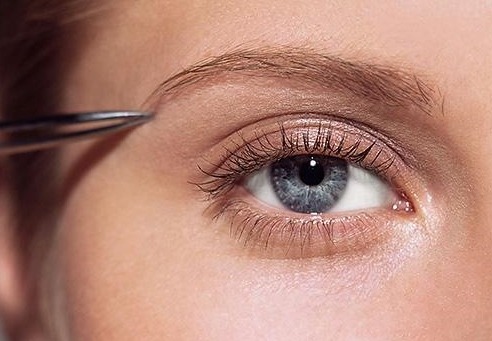 다운로드